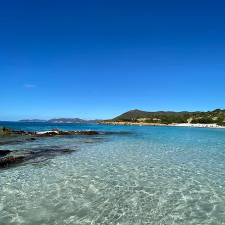 Villettadaisy, *